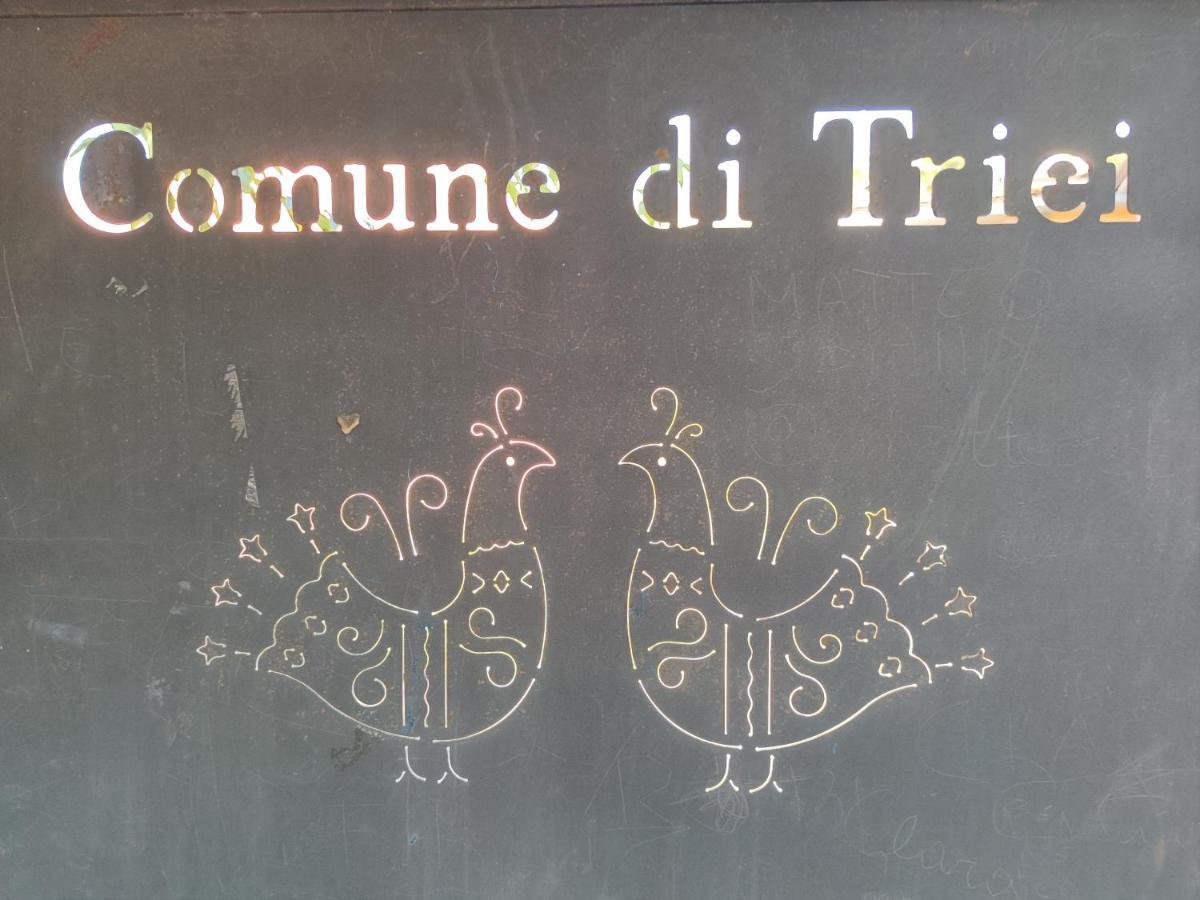 Вилла Sa Dommu 'E Su Coro Triei Экстерьер фото
